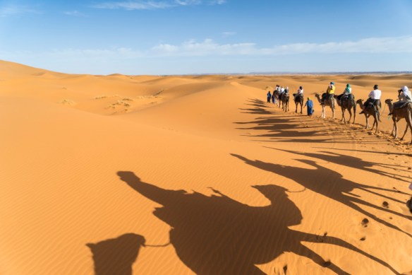 Shadows of camels in the sand dunes in the Erg Chebbi in southeastern Morocco.